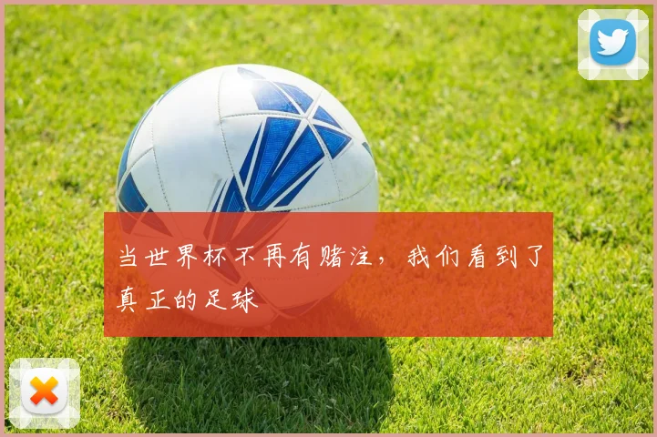 当世界杯不再有赌注，我们看到了真正的足球