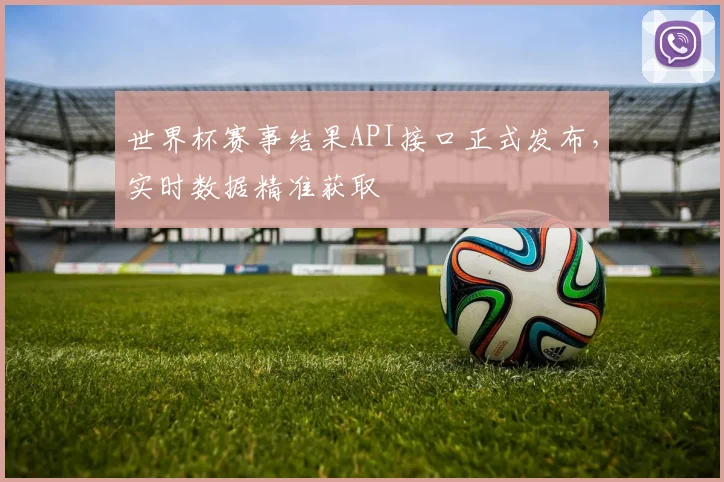 世界杯赛事结果API接口正式发布，实时数据精准获取